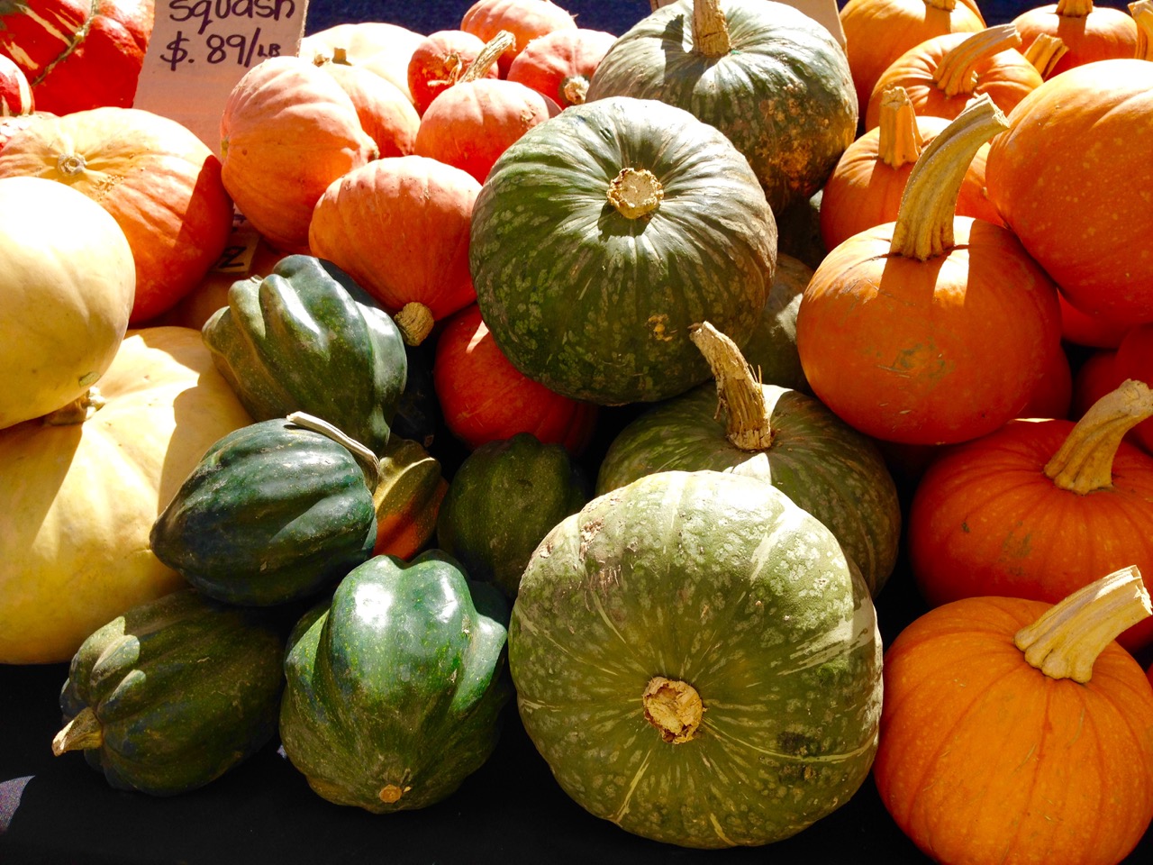 farmers market pumpkins and squash