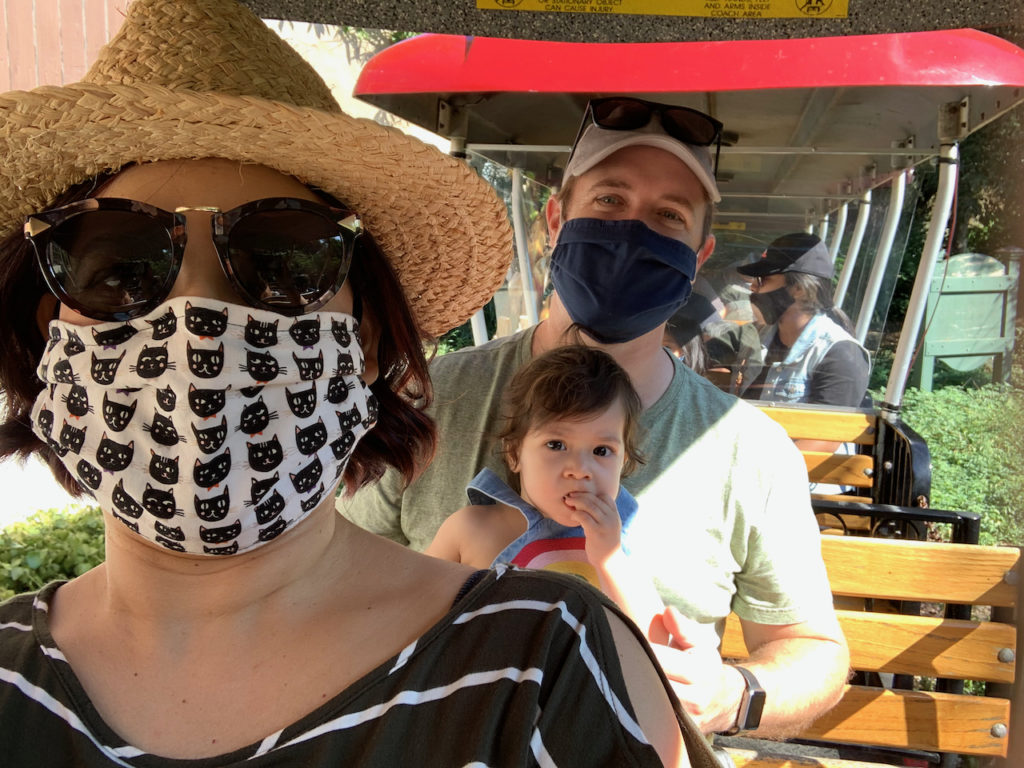 people masked on a tram